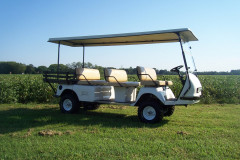 Golf Cart Repairs & Rentals