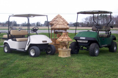 GOLF CARTS-GAS & ELECTRIC