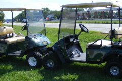 Golf Carts Customized