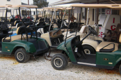 Golf Carts for Sale or Rentals