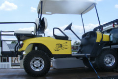Golf cart customized